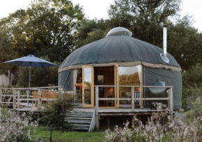 Tree Field Yurt at Moor Farm